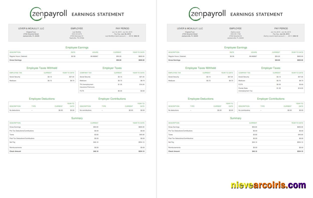 Zenpayroll Earnings statement